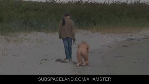 25454